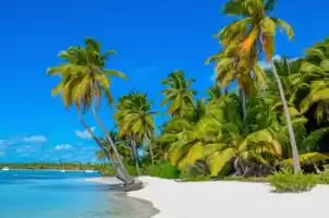 Caribbean